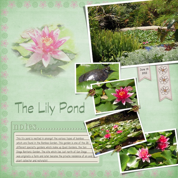 The Lily Pond