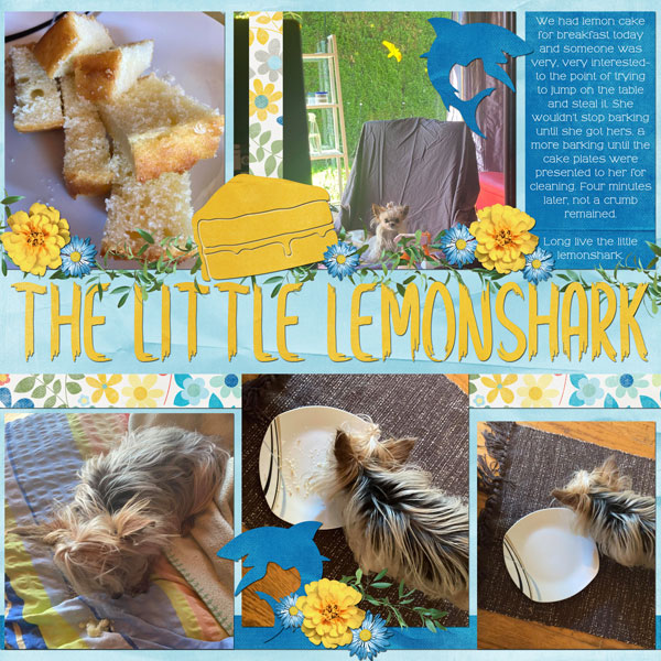 The Little Lemonshark