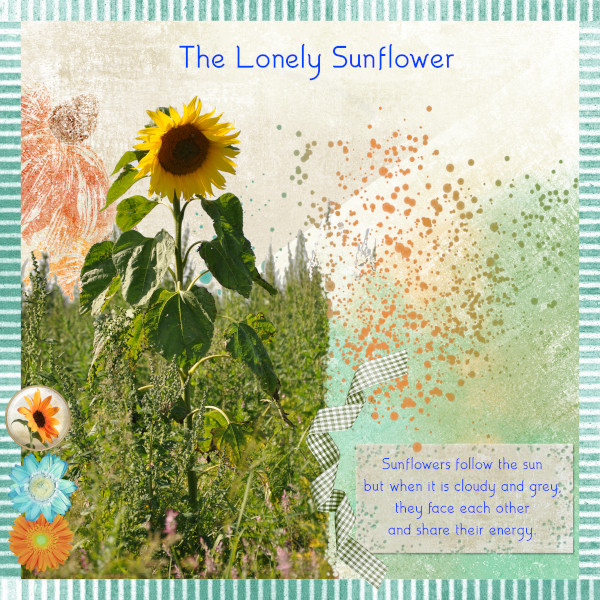 The Lonely Sunflower