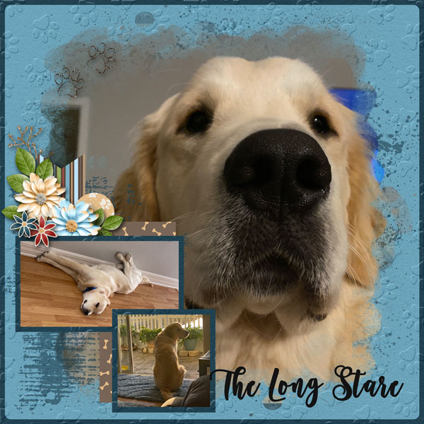The Long Stare