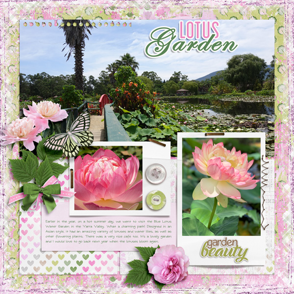 The Lotus Garden