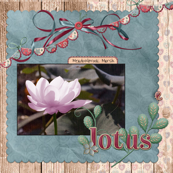 the lotus