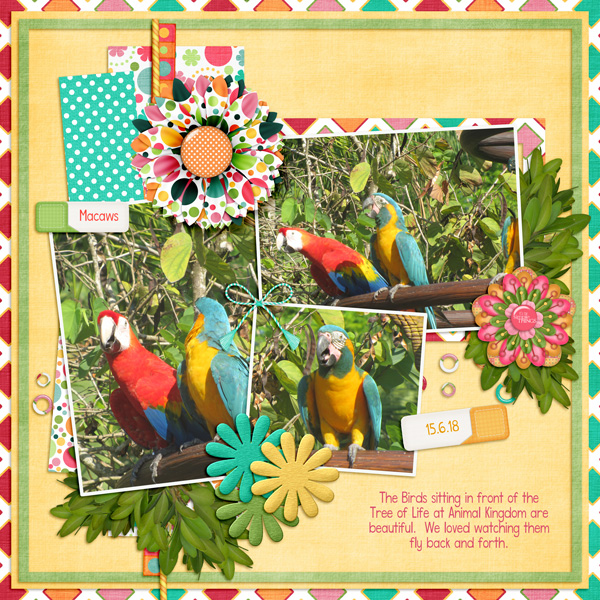 The Macaws of Disney