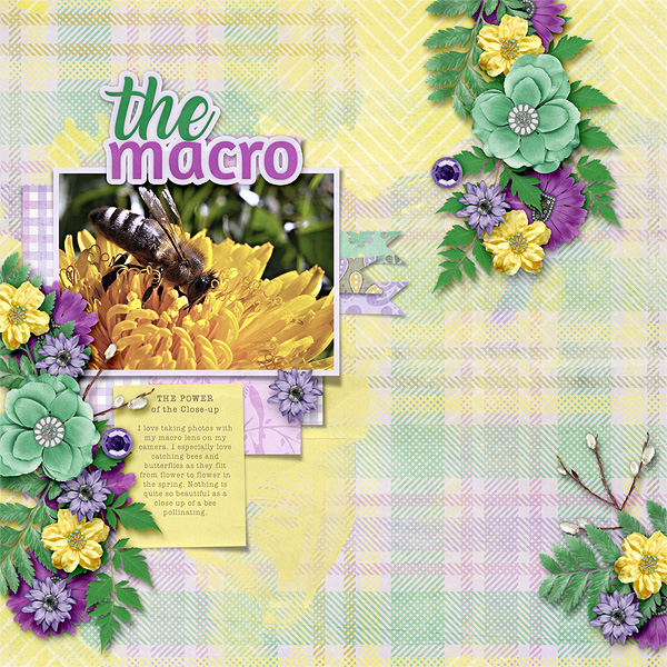 The Macro