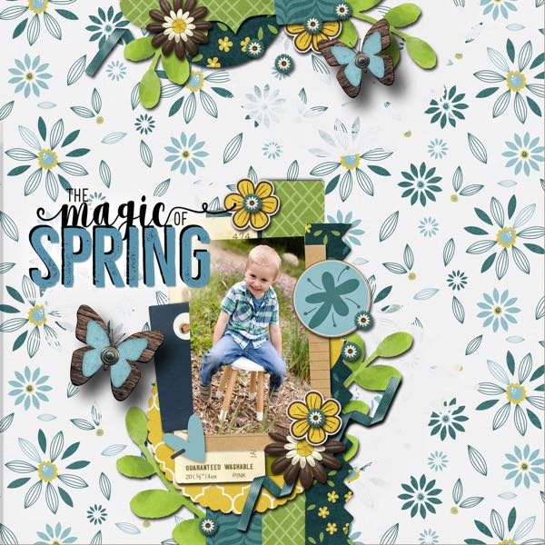 The Magic of Spring