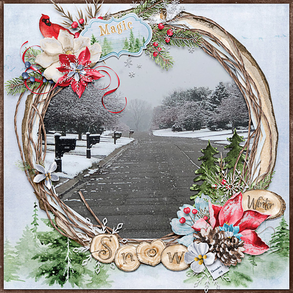 The Magic of Winter Snow