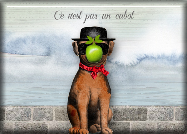 The Magritte Mutt