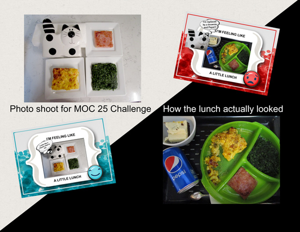 The Making of an MOC Challenge