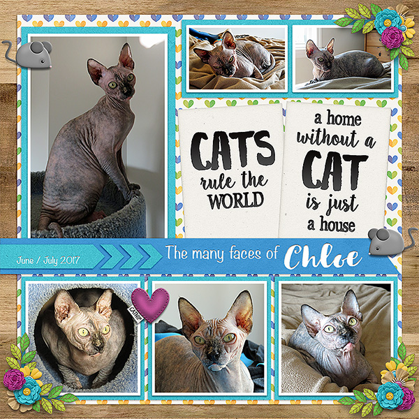The Many Faces of Chloe