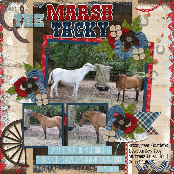 The Marsh Tacky