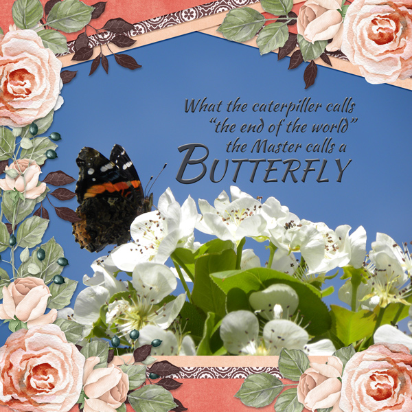 ..the Master calls a BUTTERFLY!