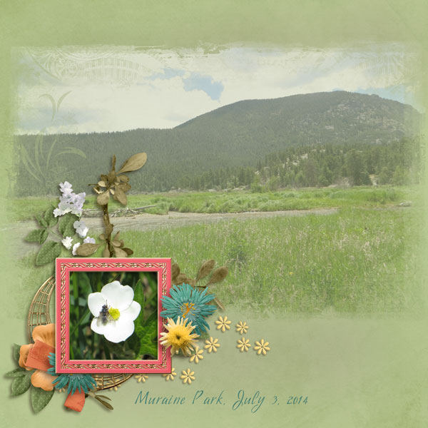 The Meadow - 2014-07 Color Challenge