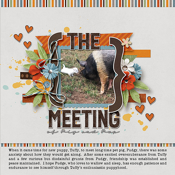 The Meeting
