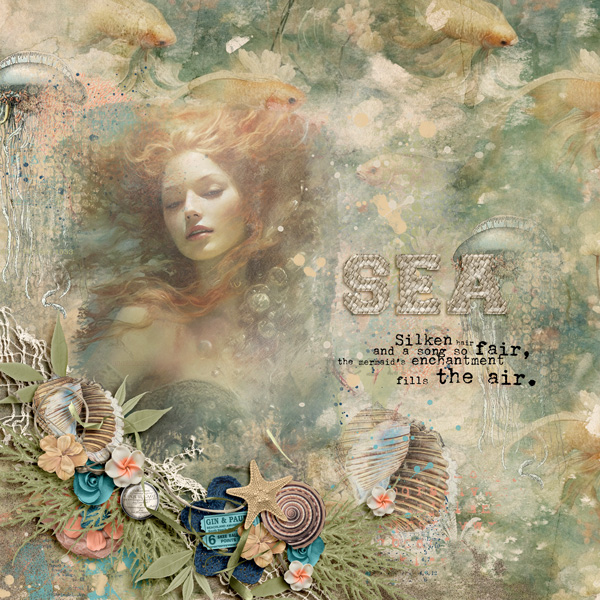 The Mermaid s Enchantment