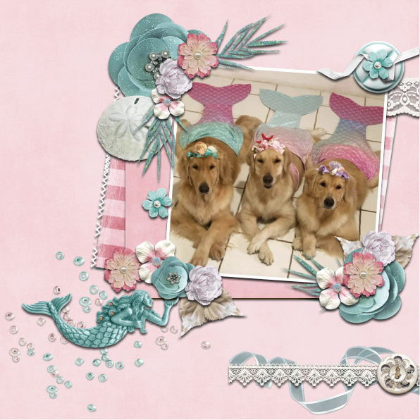The Mermaids