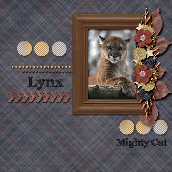 The Mighty Lynx