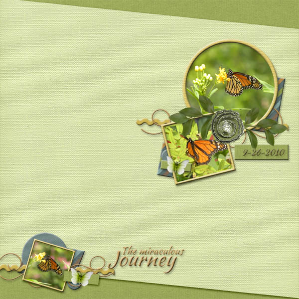The miraculous journey