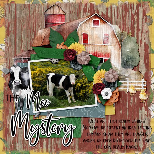 The Moo Mystery