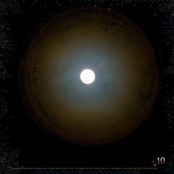 The Moon