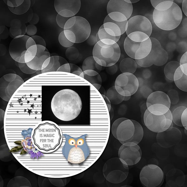 The Moon
