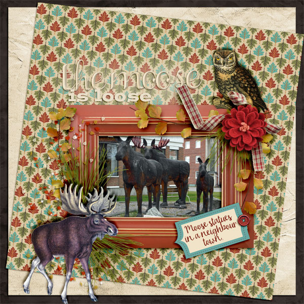 The-moose-is-loose