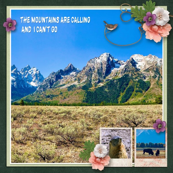 The Mountains Are Calling