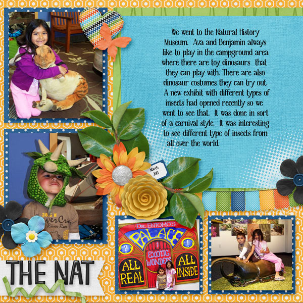 The Nat