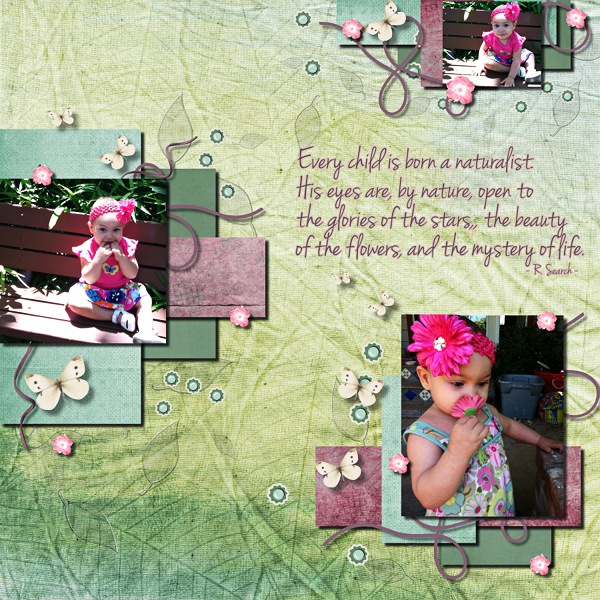 The Naturalist