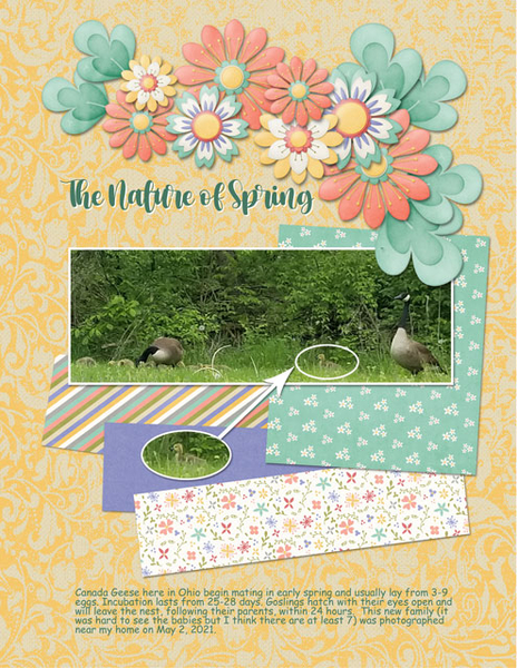 The Nature of Spring