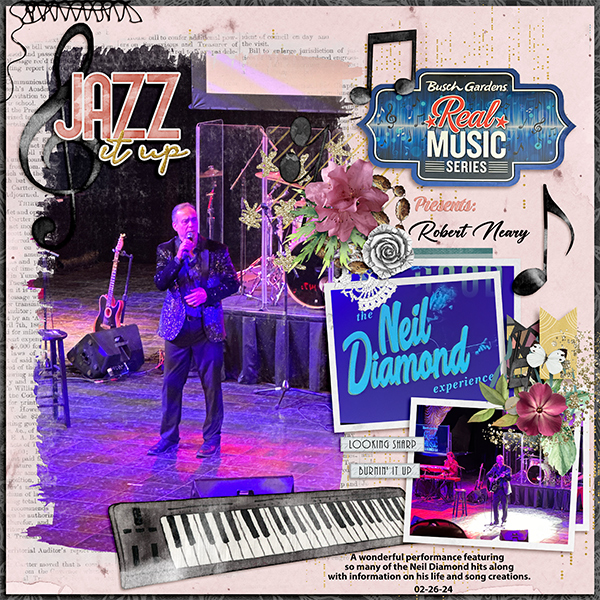 The Neil Diamond Experience