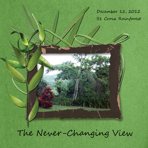The Never-Changing View