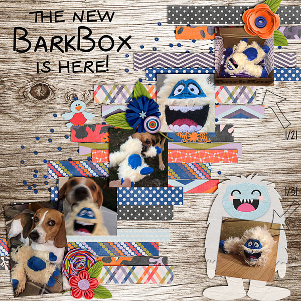 the new BarkBox is here!