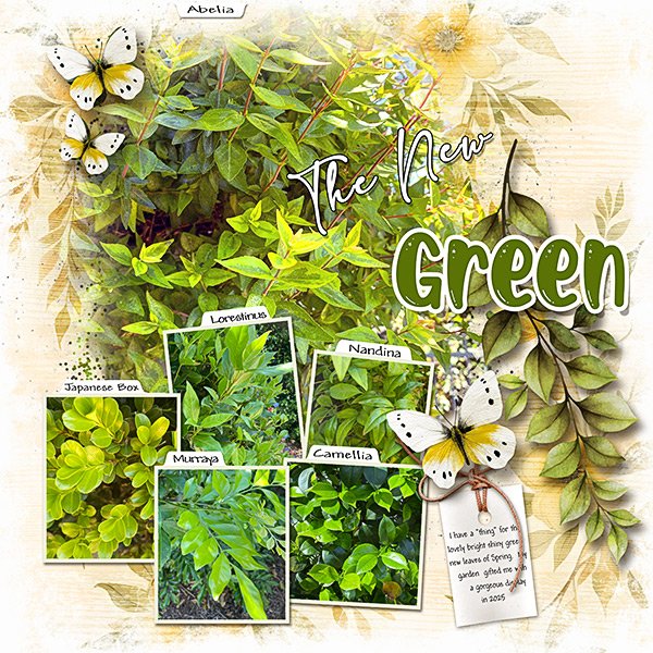 The-New-Green-webcopy.jpg