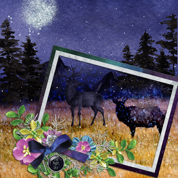 The Night Sky