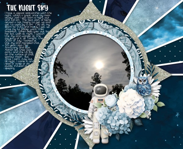 The Night Sky