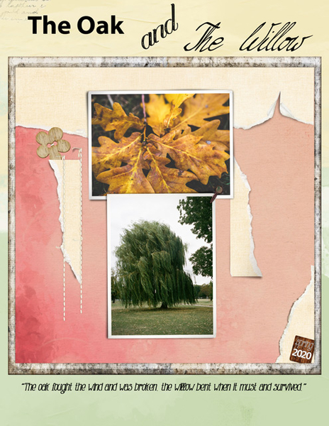 The Oak and The Willow