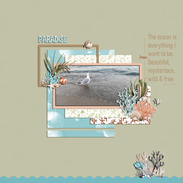 the ocean is everything