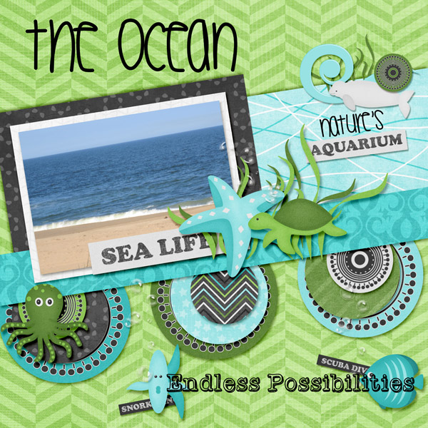 The Ocean