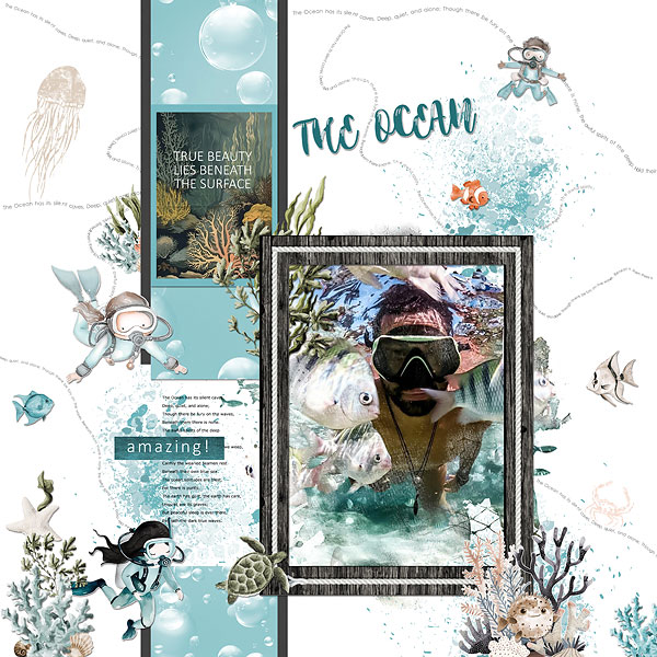 The Ocean