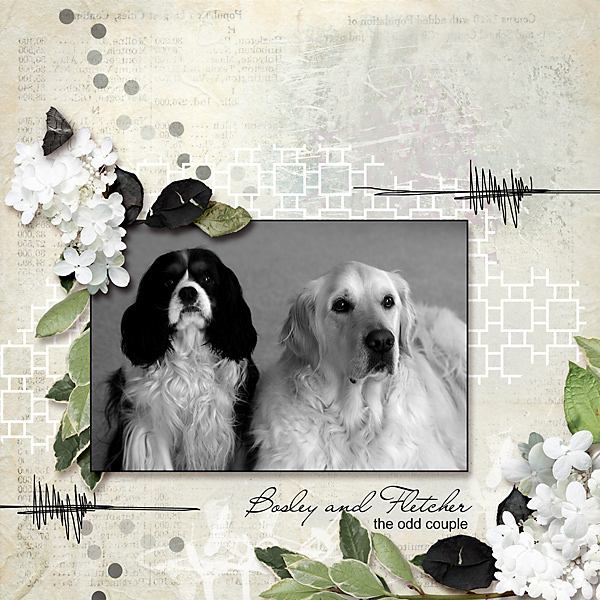 The Odd Couple