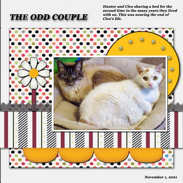 The Odd Couple