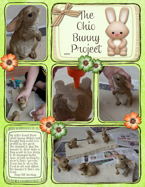 The Ohio Bunny Project