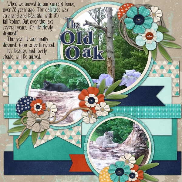 The Old Oak