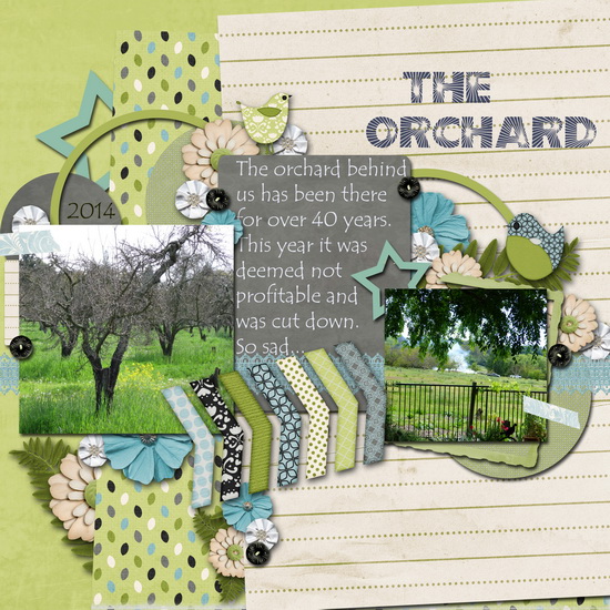 The Orchard