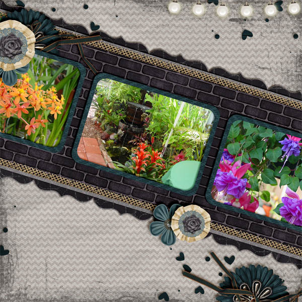 The Orchid Growers