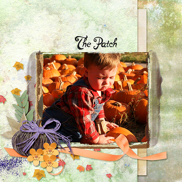 The Patch