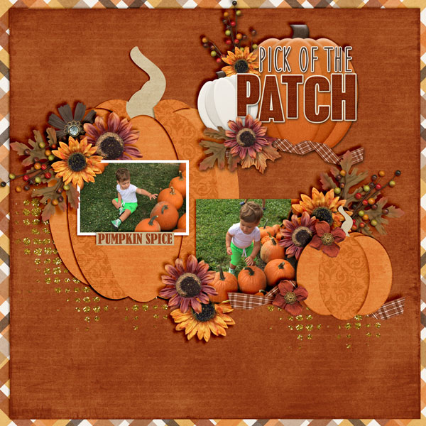 The-Patch2