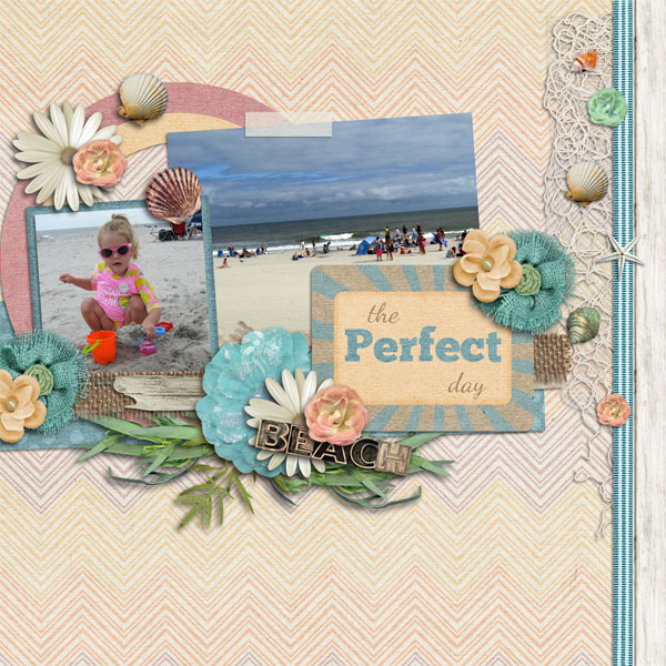 The Perfect Day