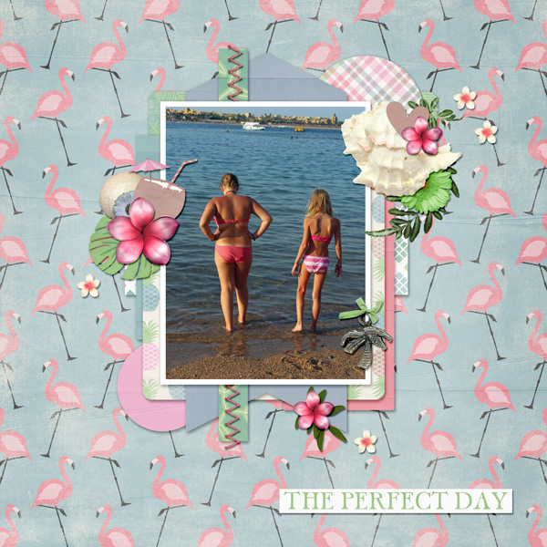 the perfect day
