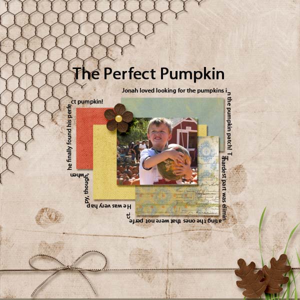 The Perfect Pumpkin